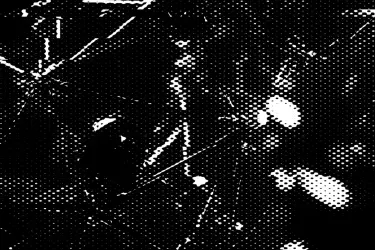 Everscale ecosystem horizontal